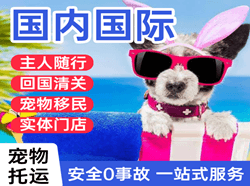 长海机场快运国际宠物托运 【国